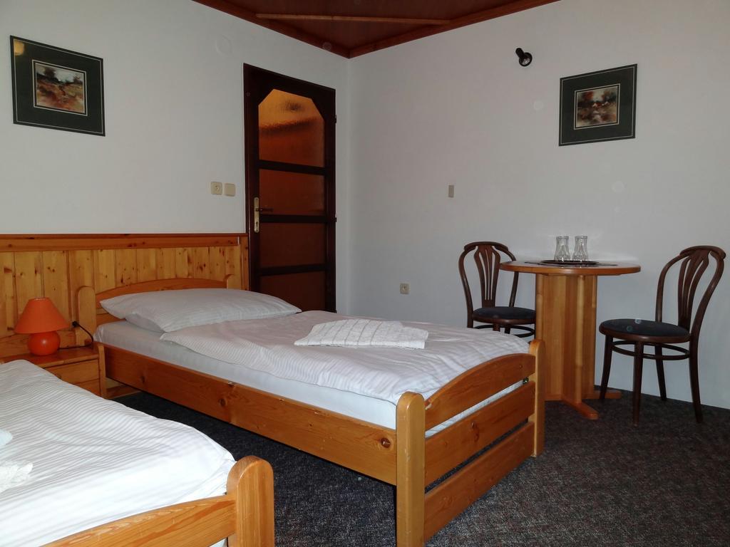 Pension Arnika Destne v Orlickych horach Εξωτερικό φωτογραφία